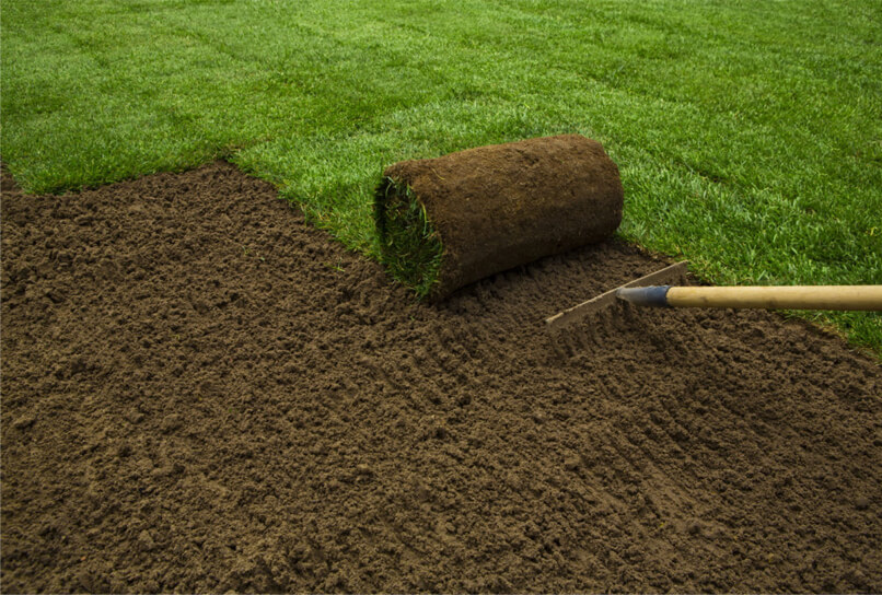 Les avantages de l’hydro ensemencement