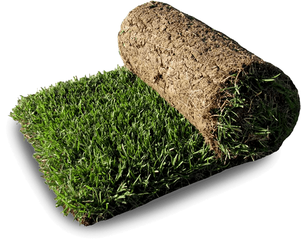 Préparation de terrain pour la pose de tourbe